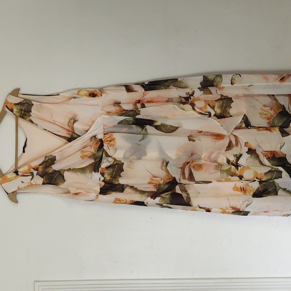 Sangria Floral Ruffle Chiffon Maxi Dress sz 18W